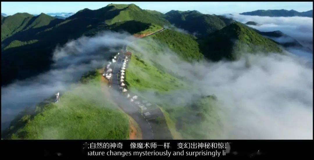 冷知识分享平台为什么有人很少出汗,有人一动就出汗?,揭秘你不知道的奇闻异事!